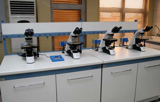 BT Health and Diagnostic Center